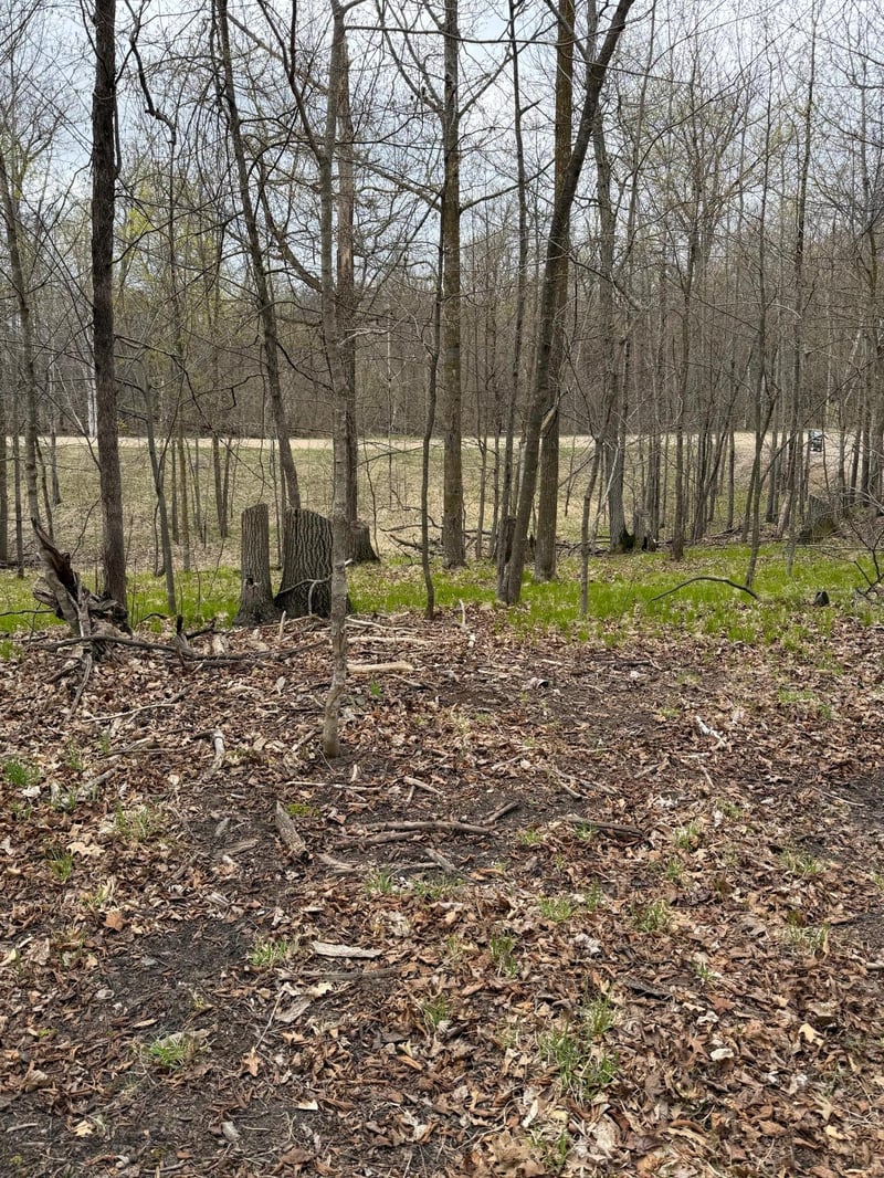 LOT 7 Sw Pickerel Lake Rd, Detroit Lakes, MN 56501