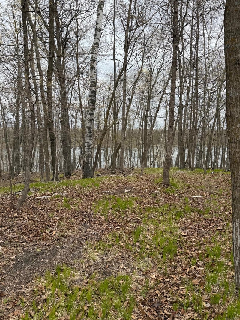 LOT 7 Sw Pickerel Lake Rd, Detroit Lakes, MN 56501