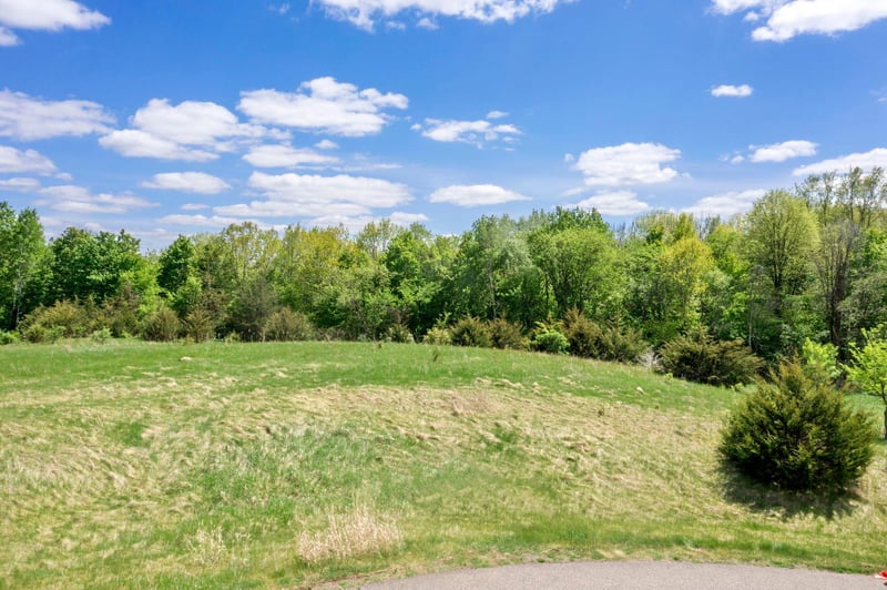 Lot 3 Block 2 Scenic Way, Shafer, MN 55074
