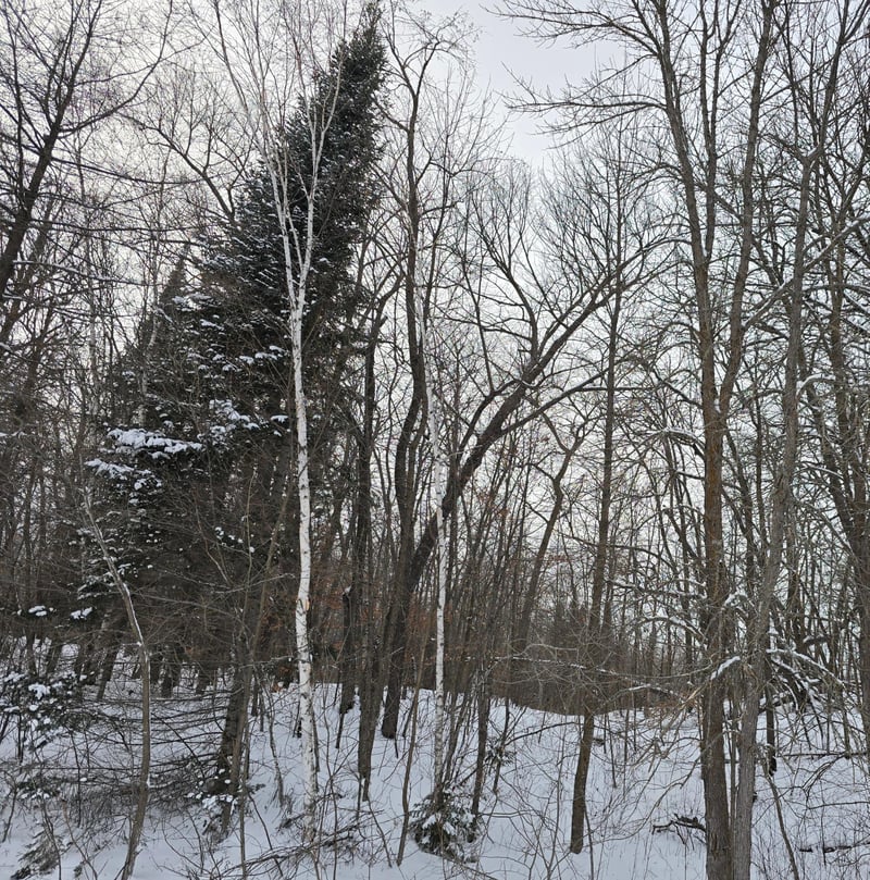 TBD County Highway 35, Waubun, MN 56589