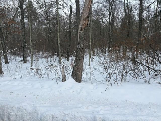 L7B1 Bonnie Lakes Rd, Crosslake, MN 56442