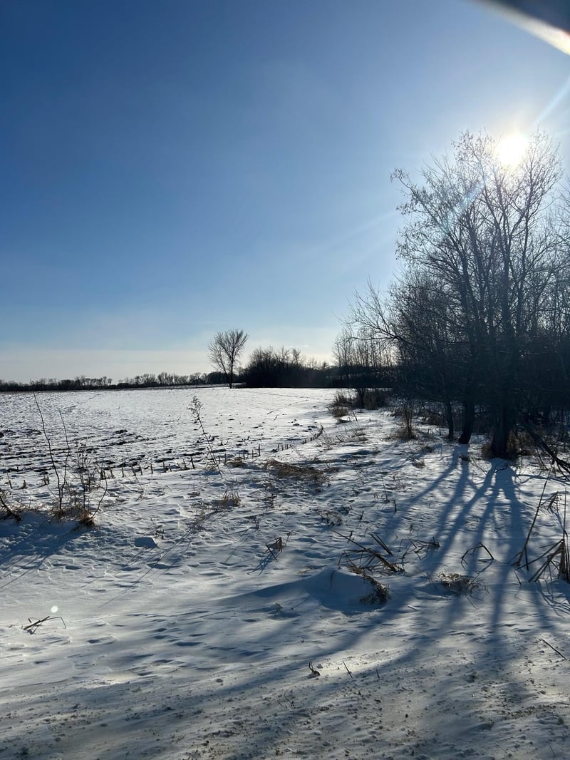 XXXX 285th St #180 Acres, Northfield, MN 55057