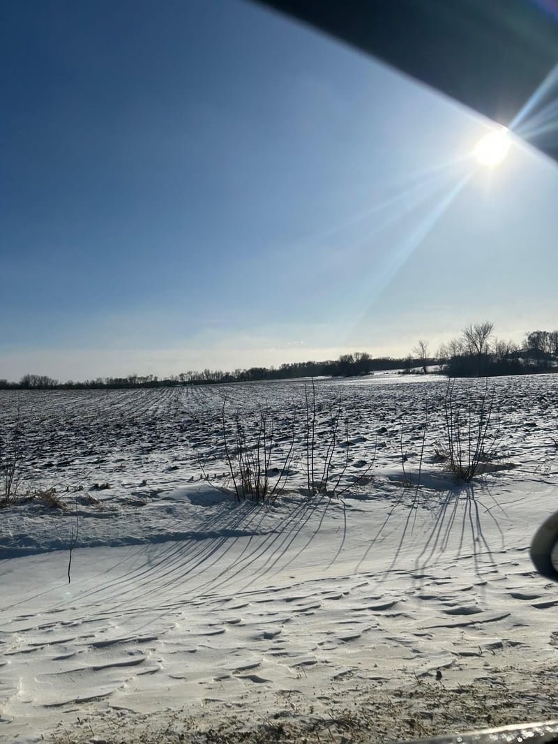 XXXX 285th St #180 Acres, Northfield, MN 55057