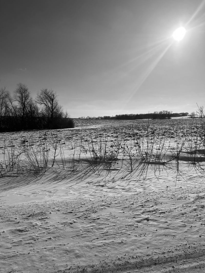 XXXX 285th St #180 Acres, Northfield, MN 55057