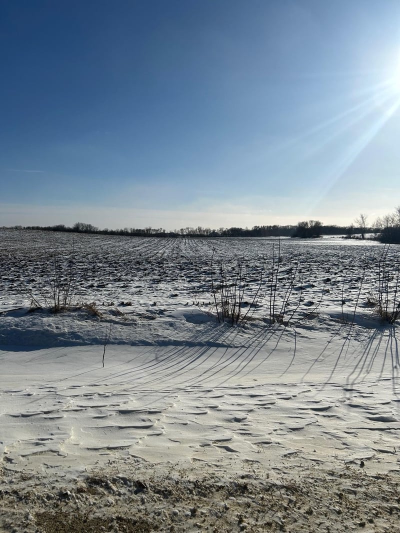 XXXX 285th St #180 Acres, Northfield, MN 55057