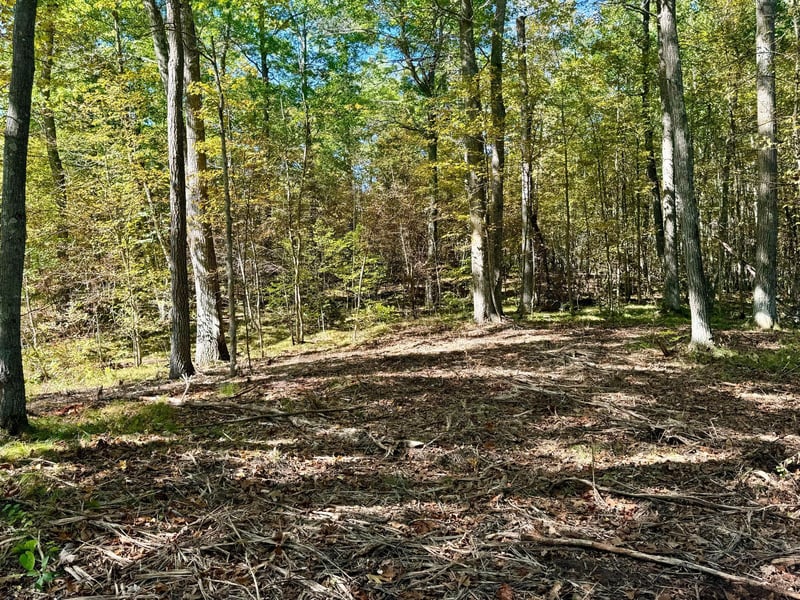 TBD4 Winter Creek Ct, Nisswa, MN 56468