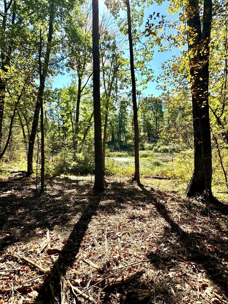 TBD4 Winter Creek Ct, Nisswa, MN 56468