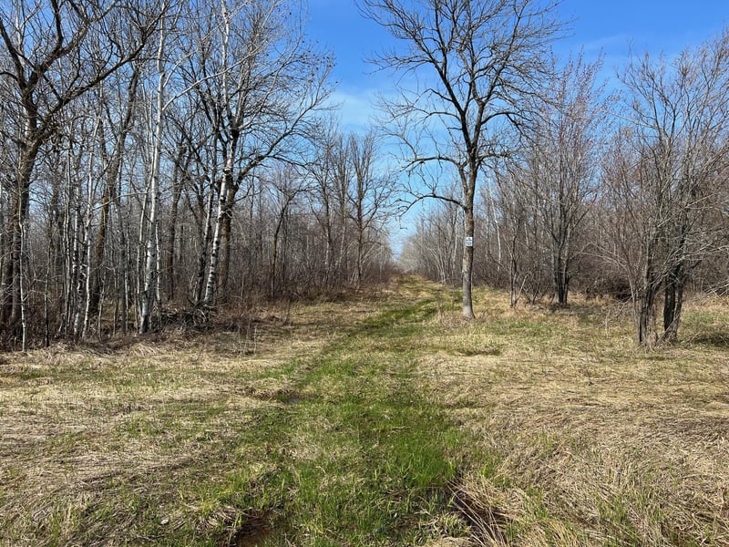 TBD Gulley Rd, Maple, WI 54854