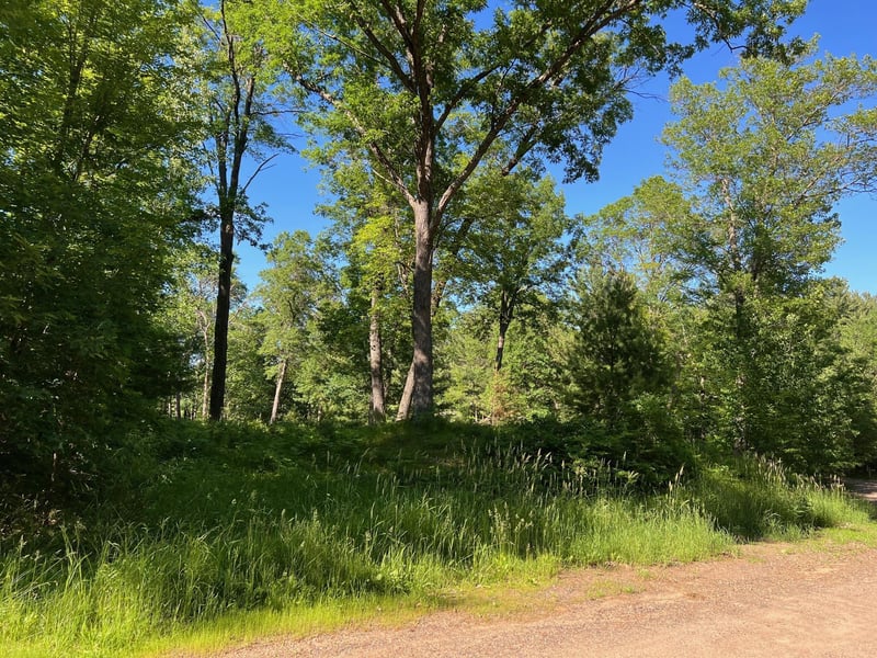 73XX Willow St E, Webster, WI 54893