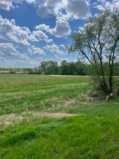 XXXX Country Rd 82 SE, Alexandria, MN 56308