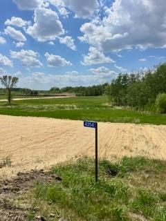 XXXX Country Rd 82 SE, Alexandria, MN 56308