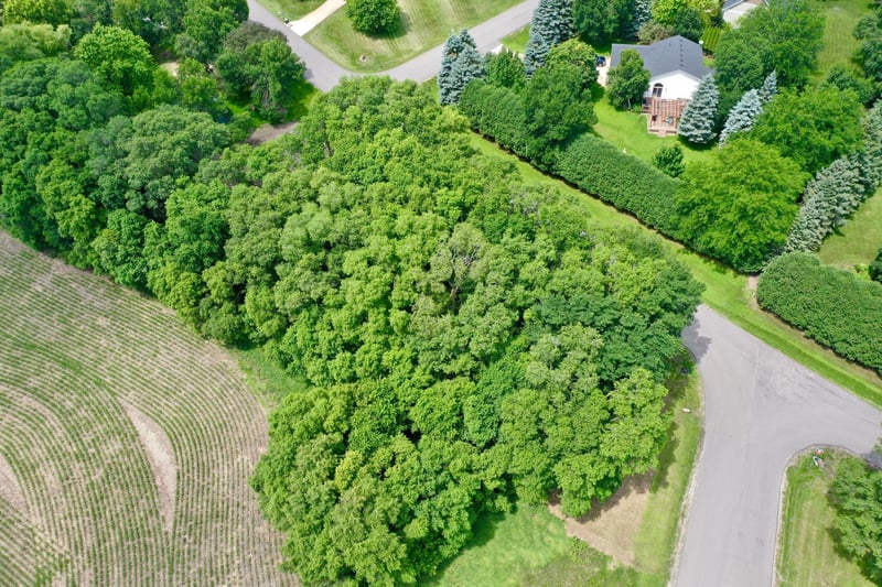 TBD 161st Ave NE, New London, MN 56273