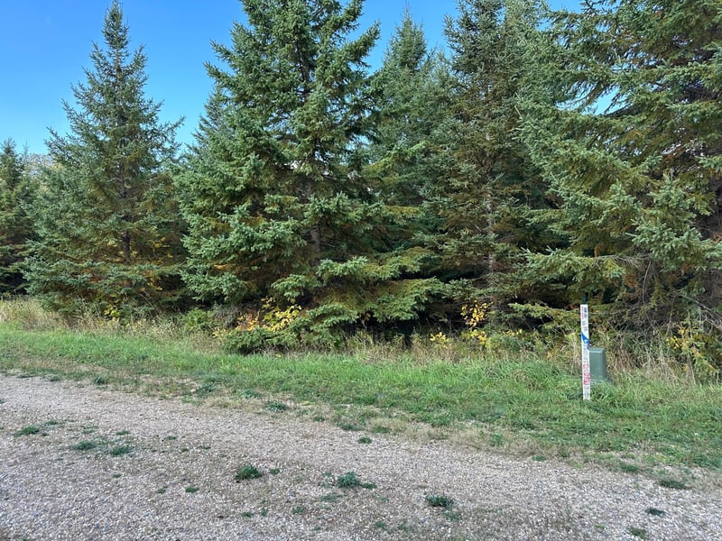 26797 Lidstrom Rd, Detroit Lakes, MN 56501
