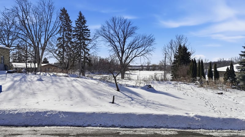 782 Randy Ave, Shoreview, MN 55126
