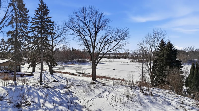 782 Randy Ave, Shoreview, MN 55126