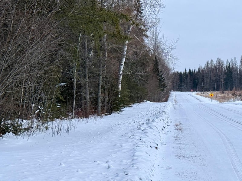 TBD Heino Rd, Angora, MN 55703