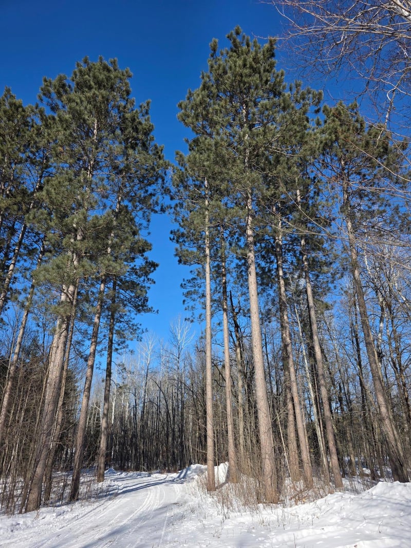 TBD County Road 43, Willow River, MN 55795