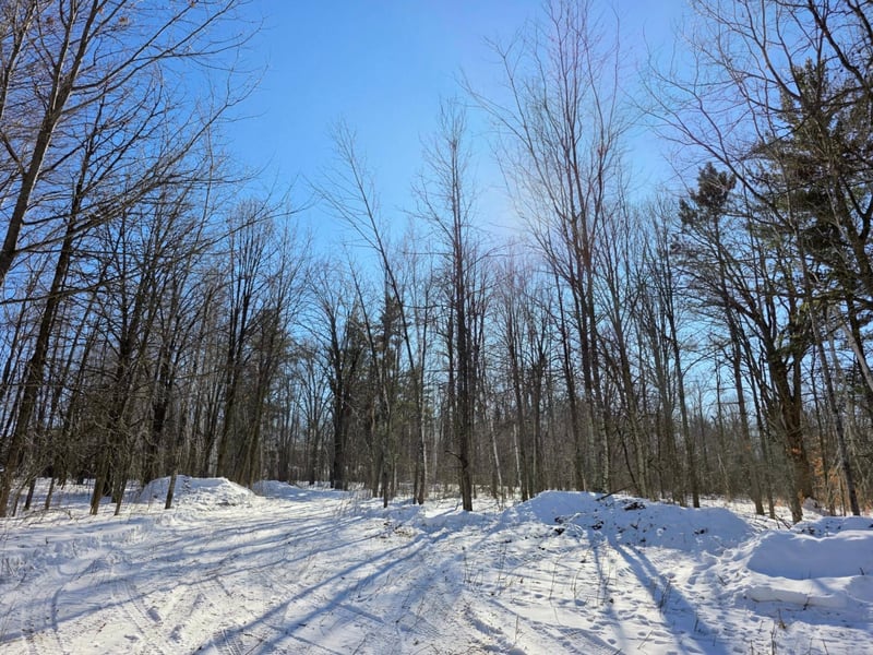 TBD County Road 43, Willow River, MN 55795