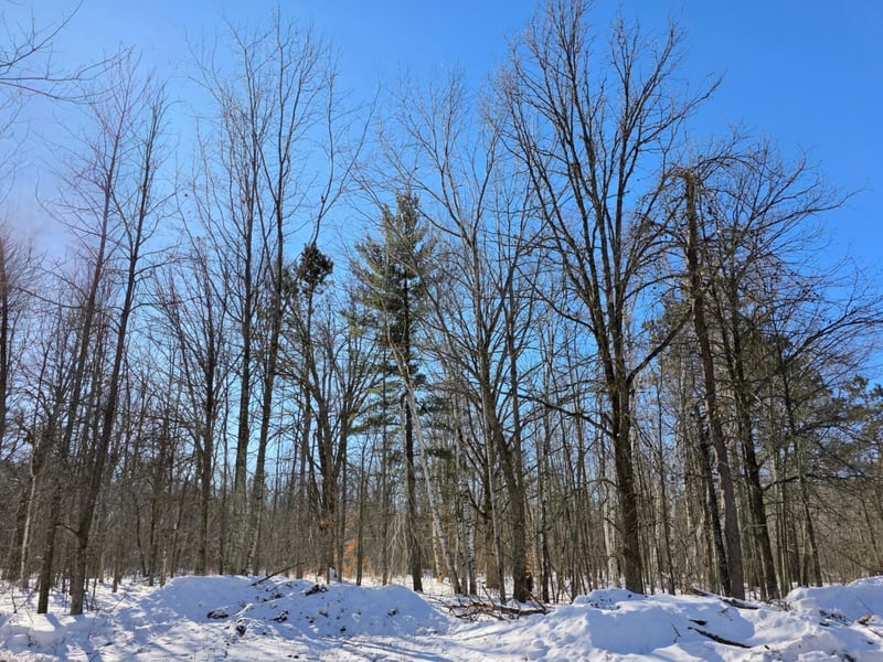 TBD County Road 43, Willow River, MN 55795