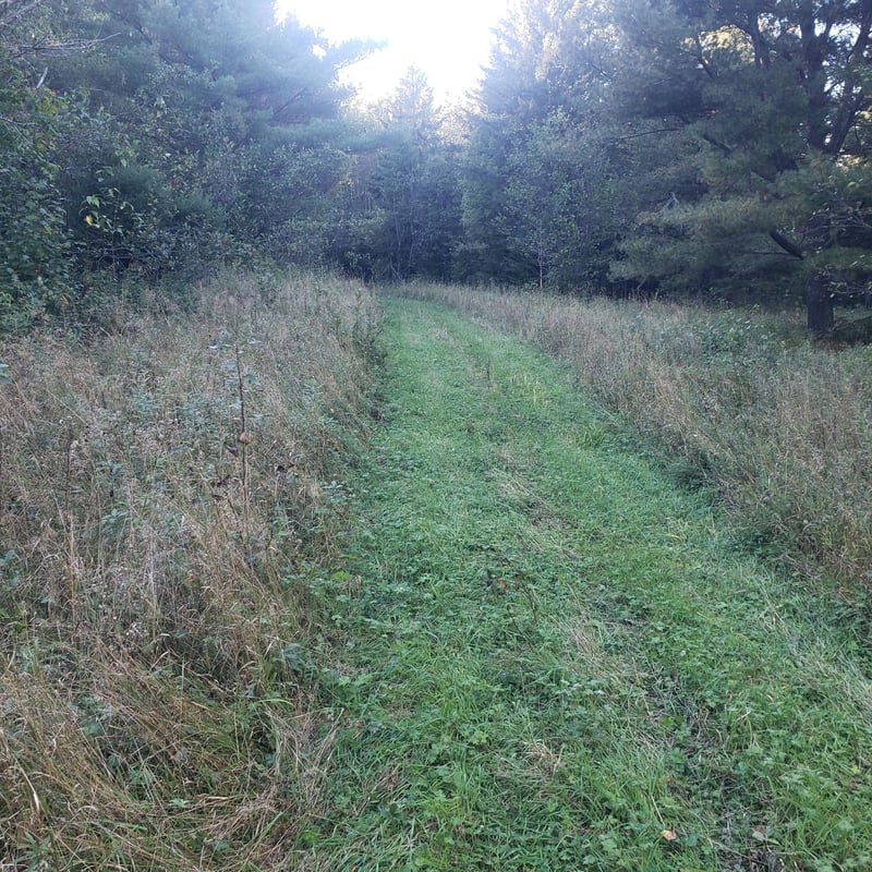 TBD Gamma Rd, Kabetogama, MN 56669
