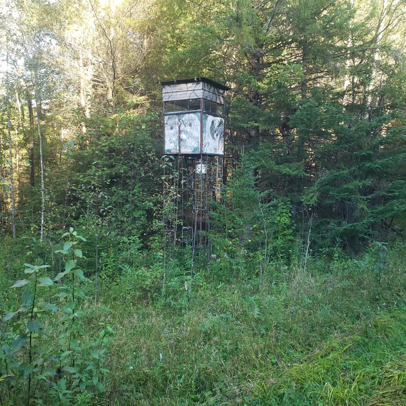 TBD Gamma Rd, Kabetogama, MN 56669