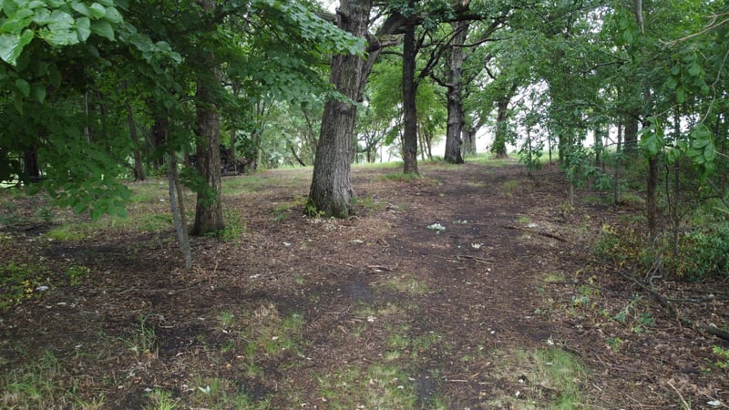 Lots 1 - 2 Mary Ln NW, Brandon, MN 56315
