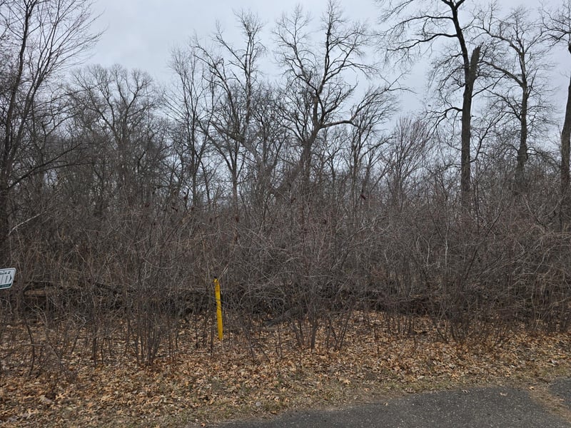 0 288th Ave NW, Princeton, MN 55398