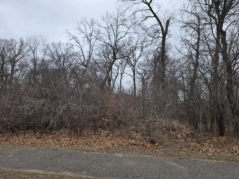 0 288th Ave NW, Princeton, MN 55398