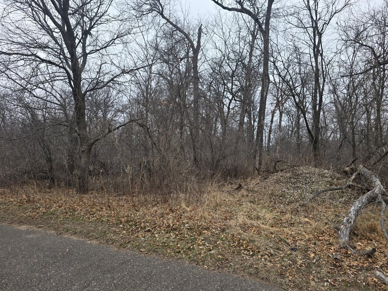 0 288th Ave NW, Princeton, MN 55398
