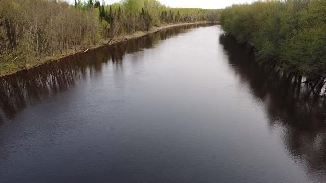 TBD County Road 79, Littlefork, MN 56653
