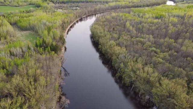 TBD County Road 79, Littlefork, MN 56653