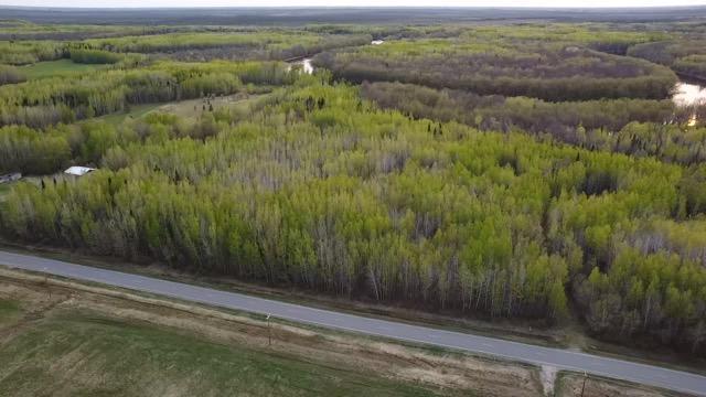 TBD County Road 79, Littlefork, MN 56653