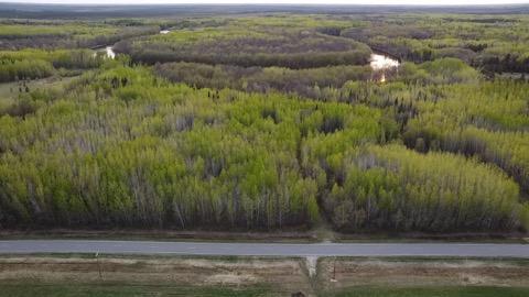 TBD County Road 79, Littlefork, MN 56653