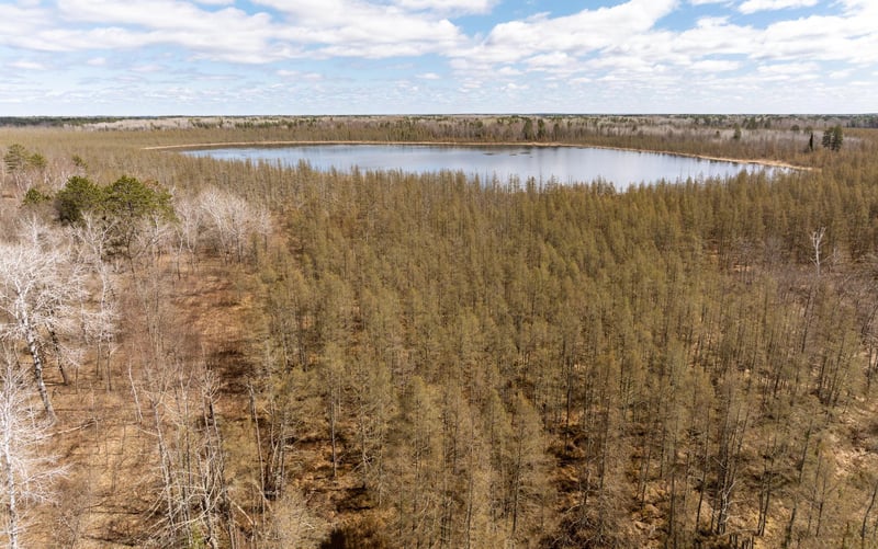 TBD 36th Ave SW, Pine River, MN 56474