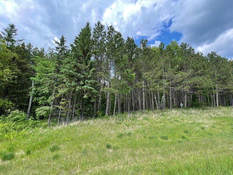 TBD N Plantangenet Rd SE, Bemidji, MN 56601
