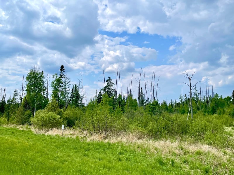 TBD N Plantangenet Rd SE, Bemidji, MN 56601