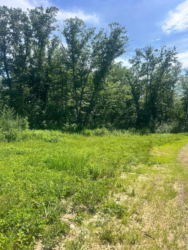 27536 Norway Trl, Randall, MN 56475