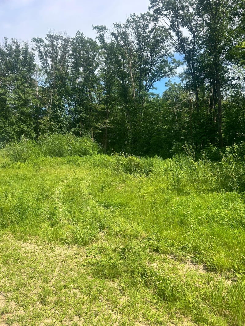 27536 Norway Trl, Randall, MN 56475