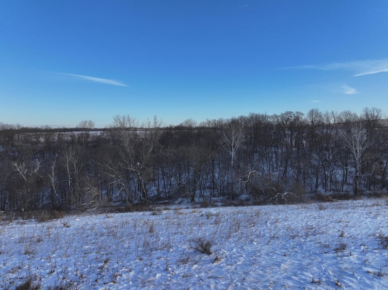tbd Sayles Rd, Houston, MN 55943