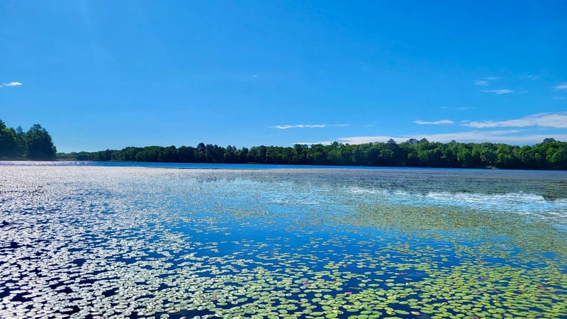TBD Brush Lake Ln, Park Rapids, MN 56470