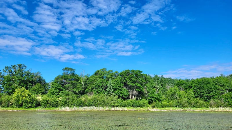 TBD Brush Lake Ln, Park Rapids, MN 56470