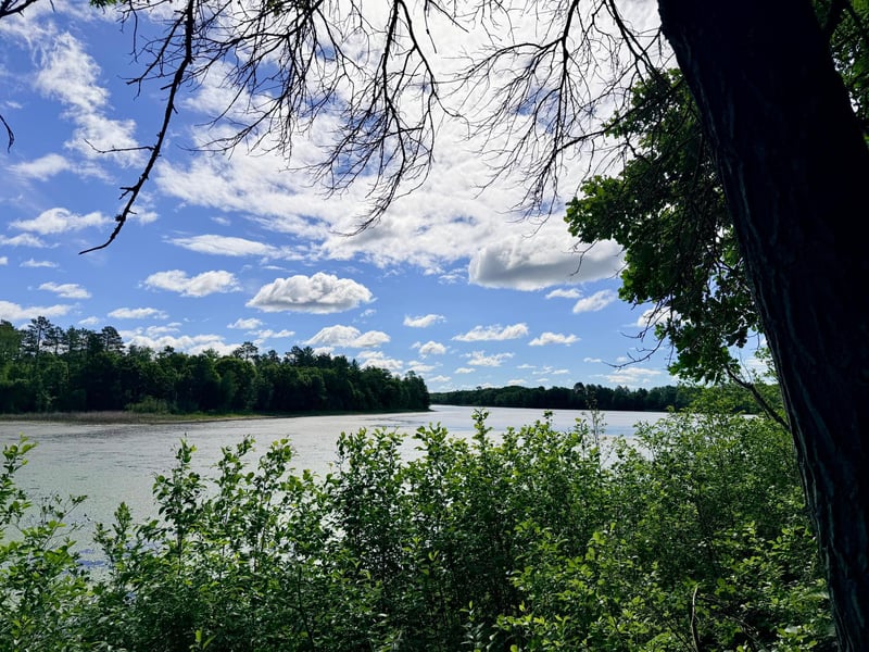 TBD Brush Lake Ln, Park Rapids, MN 56470