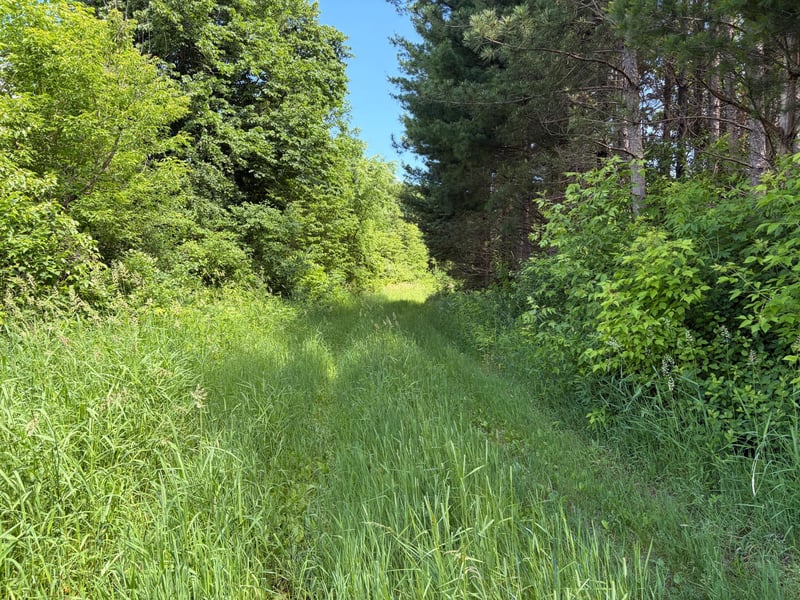 20XX Quail St, Mora, MN 55051