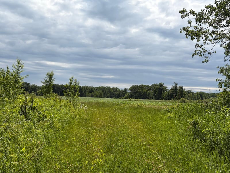 20XX Quail St, Mora, MN 55051