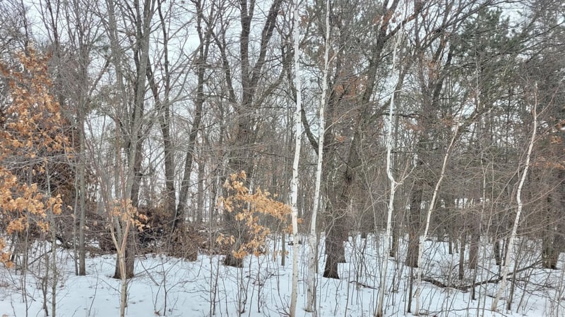 0 Snowshoe Trl, Staples, MN 56479