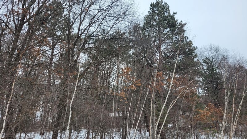 0 Snowshoe Trl, Staples, MN 56479