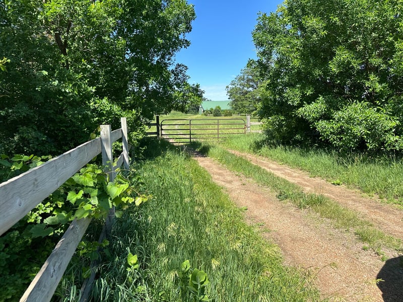 XXX Highway 284, Cologne, MN 55322