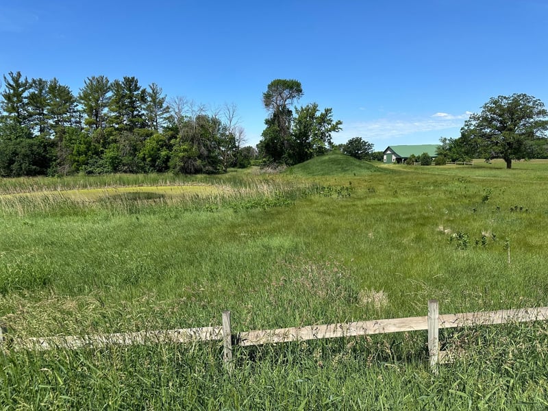 XXX Highway 284, Cologne, MN 55322