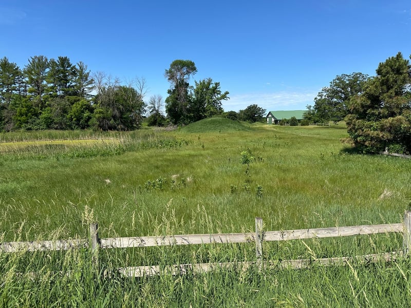 XXX Highway 284, Cologne, MN 55322