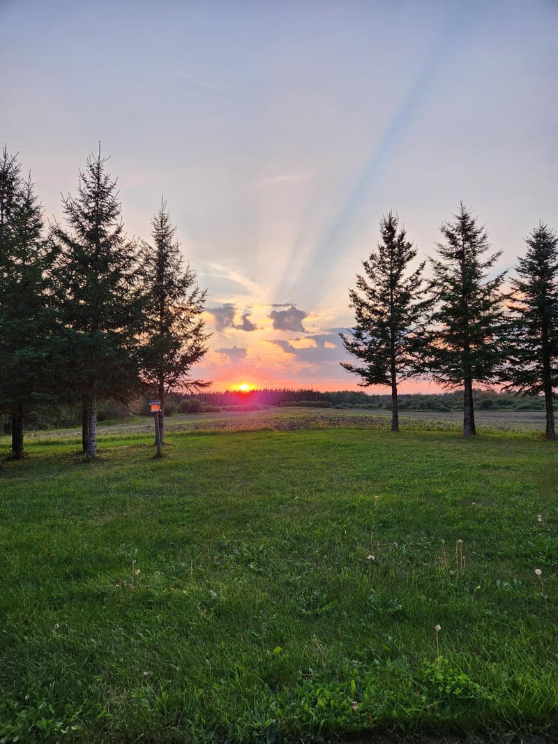 9453 Alango Rd, Angora, MN 55703